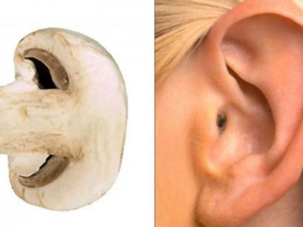 Ali podobnost res zdravi?